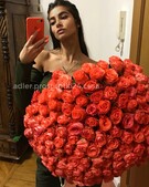 Анкета проститутки Света - метро Даниловский, возраст - 23